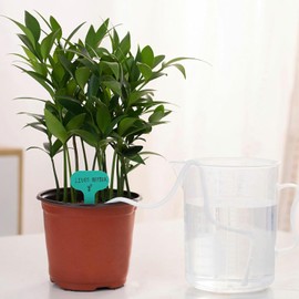 Drip Irrigation System, 33 feet 1/6 inch Self-Watering Planter Pot Automatic Water System Device Potted Violet self Watering Rope-30362