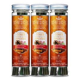 Scentsicles Spiced Pine Cones Scented Ornaments with Hooks - 3 Bottles (18 Sticks Total)