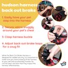Huxley & Kent Hudson Walking & Training Harness - Black