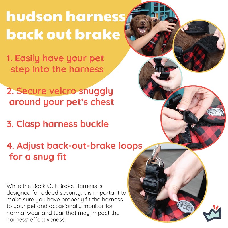 Huxley & Kent Hudson Walking & Training Harness - Black