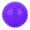 Vikye Massage Ball, Durable Plastic Massage Roller Body Spiky Balls