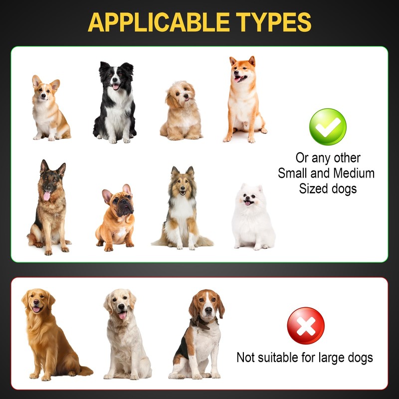 Dog Head Lights for Small and Medium Sized Dogs, 3