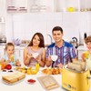 10 Toaster Bags Reusable grilled cheese bags Non Stick Toaster