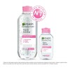 Kit Garnier Skin Active Agua Micelar Todo En 1 400ml