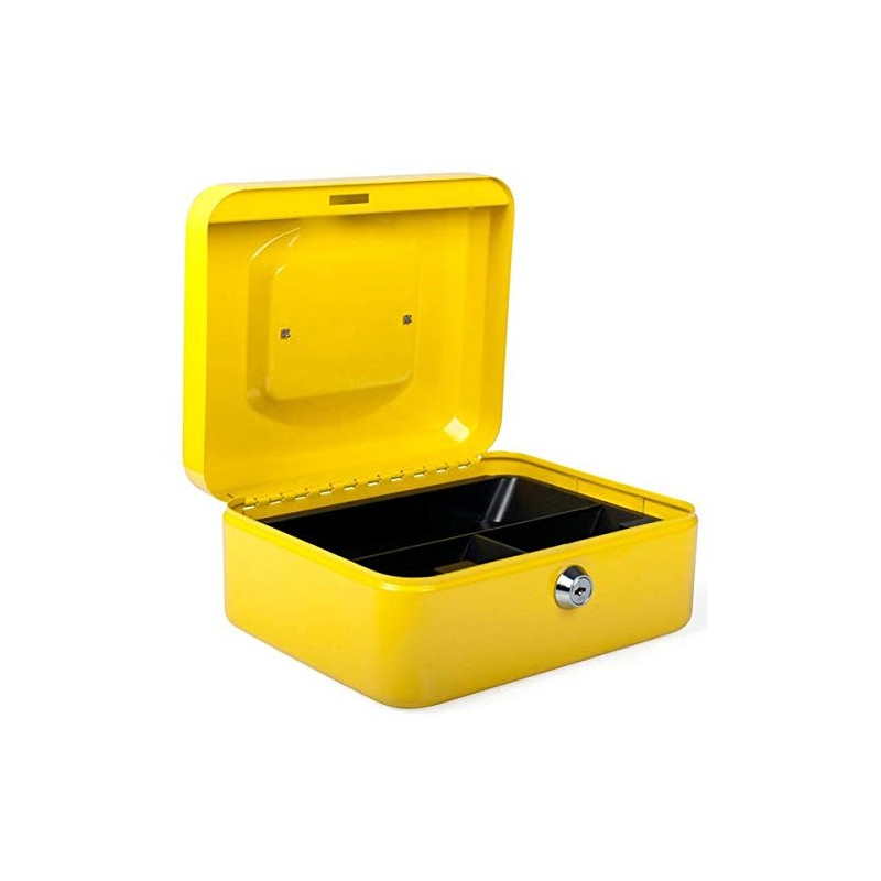 PAVO Premium 8-Inch Metal Cash Box with 2 Keys and