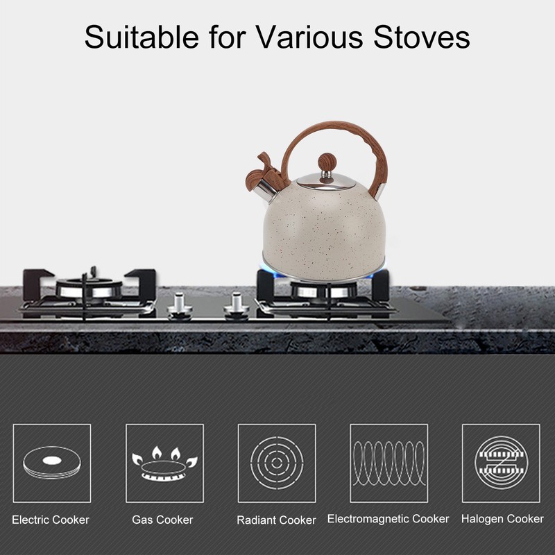 Whistling Kettle 2.5L Capacity Stainless Steel Stovetop Teapot for Water