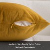 MIULEE Set of 2 Velvet Soft Solid Decorative Square Throw