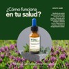 Vitali Adaptógenos Schisandra, Eleuthero, Cordyceps y NAD+
