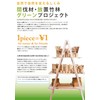 (TV Series Crafts (yamasita Craft) 白竹 Trevally Pro 箕 Dishes