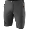 DYNAFIT Men's Shorts