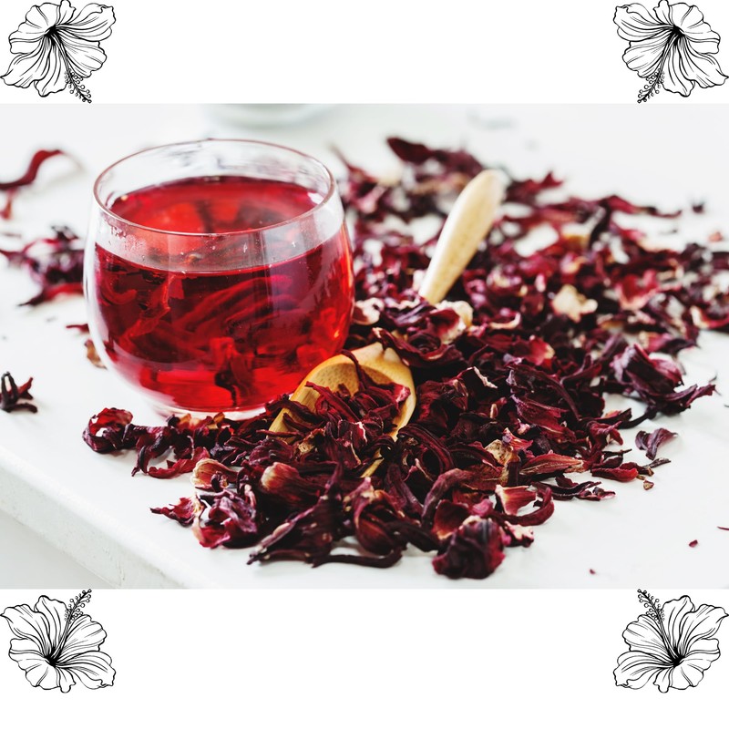 ARIAZU Jamaica Flor de Jamaica 750gr frasco hermetico reusable Jamaica
