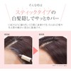 Viewa Gray Hair Hidden Stick N Natural Black 1 pcs
