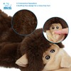 Best Pet Supplies 2-in-1 Stuffless Squeaky Dog Toys with Soft,