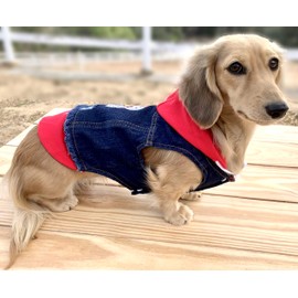 Jean Hoodie for Dogs - Red - Fits Dachshunds! (Large 15" Long x 21" Chest)