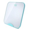 BTG-365GU Portable BMI Scale