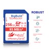 BigBuild Technology 256GB U3 SDXC Memory Card For Panasonic Lumix