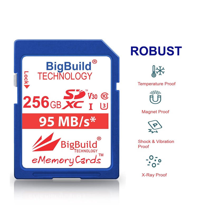 BigBuild Technology 256GB U3 SDXC Memory Card For Panasonic Lumix