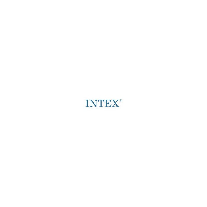 Intex Swim Ring
