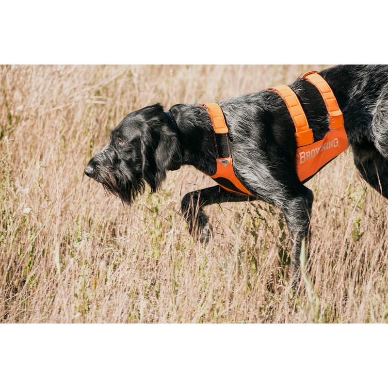 Browning Pet Hi-Vis Safety Vest for Dogs, Safety Orange, Large,