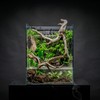Ultum Nature Systems Foresta Mat - Aquarium Starter Kits, Accessories