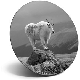 Destination Vinyl ltd Magnet for Refrigerator, Fridge BW - Cute Beautiful Mountain Goat for Office, Cabinet and Whiteboard, Magnetic Stickers, 35377