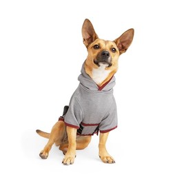 Reddy Soothing Dog Hoodie, Medium