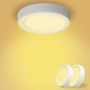 Yexati Pack of 2 Ceiling Light LED Ceiling Light Flat