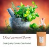 Bacche di Ribes Nero Essiccate Biologiche - Frutto Intero