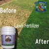 Neptune's Harvest Lawn Starter Fertilizer, 5 Gallon Pail