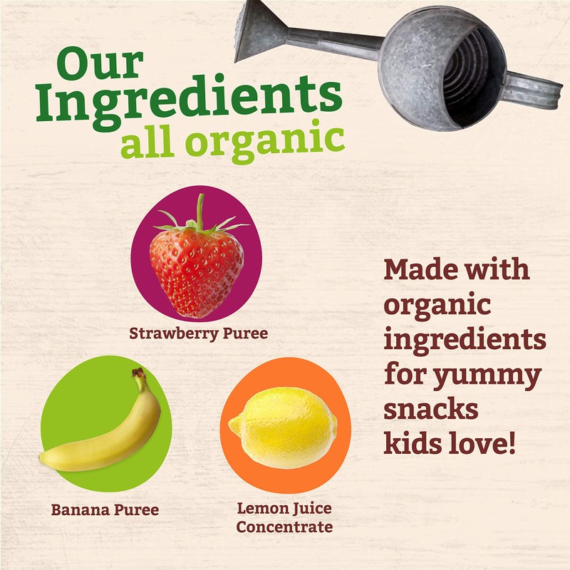 Pumpkin Tree Peter Rabbit Organics Strawberry and Banana Pure Fruit
