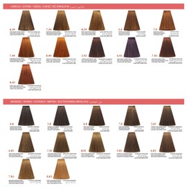 Arual Cosmética Profesional Tinte, color 4.67 castano medio rojo violeta