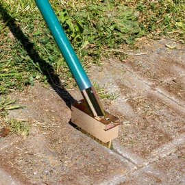 Relaxdays Grout Brush, Set of 2, Weed & Moss Removal, Steel Bristles, Replacement Brushes, Grout Scraper, Garden, Natural/Gold