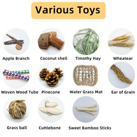 Jwizyotr Guinea Pig Toys Rabbit Toys Box for Chewing&Teeth Grinding Natural Bunny Treats for Chinchilla, Rat, Hamster and Other Small Pets 12 PCS (Medium)