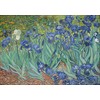 Ulmer Puzzleschmiede - Puzzle Vincent Van Gogh, Iris - Classic