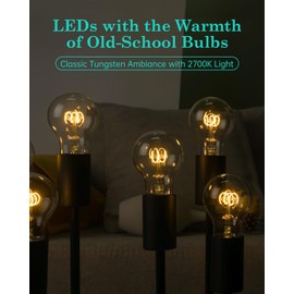 AMDTU Vintage Edison 4W LED Bulb E26 Base Clear Dimmable 40 Watt A19 Incandescent Light 2700k Soft Warm White Glow Perfect for Rustic Decor and Antique Style Lighting