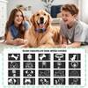 Pack de 3 Custom Slide On Silent Pet ID Tags,