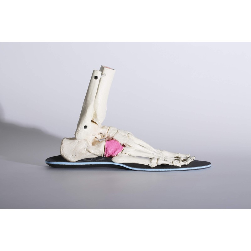 BMZ(ビーエムゼット) 「Cuboid balance理論」モデル コンプリートスポーツ 3mm BM-K013 ブラック 24.0-24.5cm