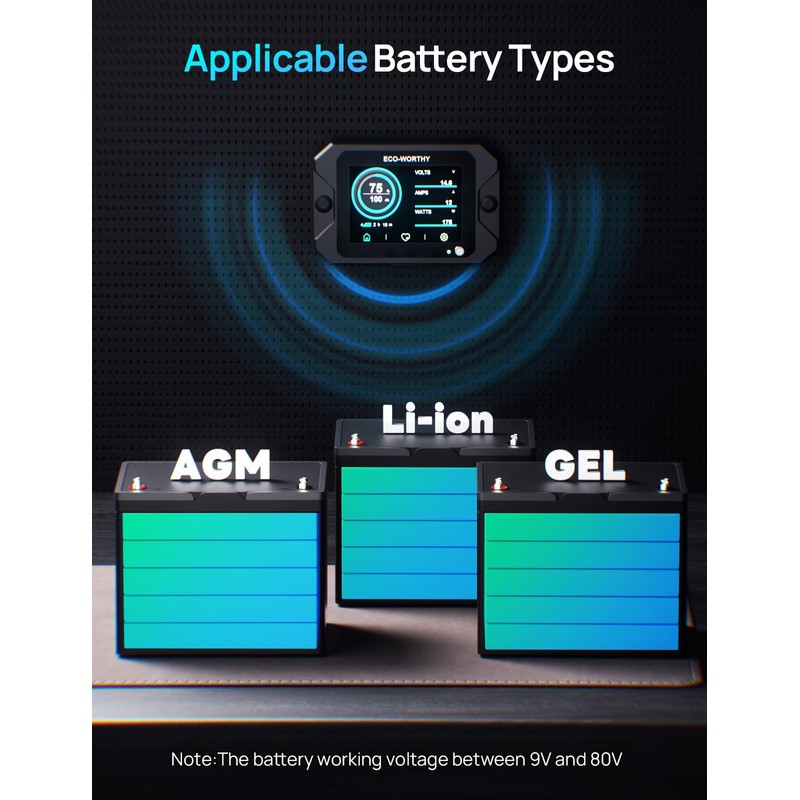 ECO-WORTHY Battery Monitor with Hall Sensor, 300A Touchable Backlight Display