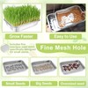 TCYPUHL Stainless Steel Sprouts Growing Kit Trays 2-Tier 14 inch,