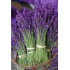 Seeds Lavender Herbs Garden for Planting Non GMO