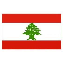 Novelties Direct Lebanon/Lebanese Flag 5ft x 3ft (100% Polyester) With Eyelets For Hanging