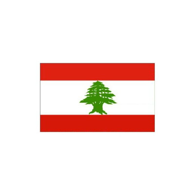 Novelties Direct Lebanon/Lebanese Flag 5ft x 3ft (100% Polyester) With