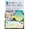 Scalp Shampoo, Scalp Shampoo Developed by Seborrheic Researchers, Reduces Dandruff