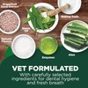 Vet’s Best Enzymatic Dog Toothpaste – Vet Formulated Dental Gel