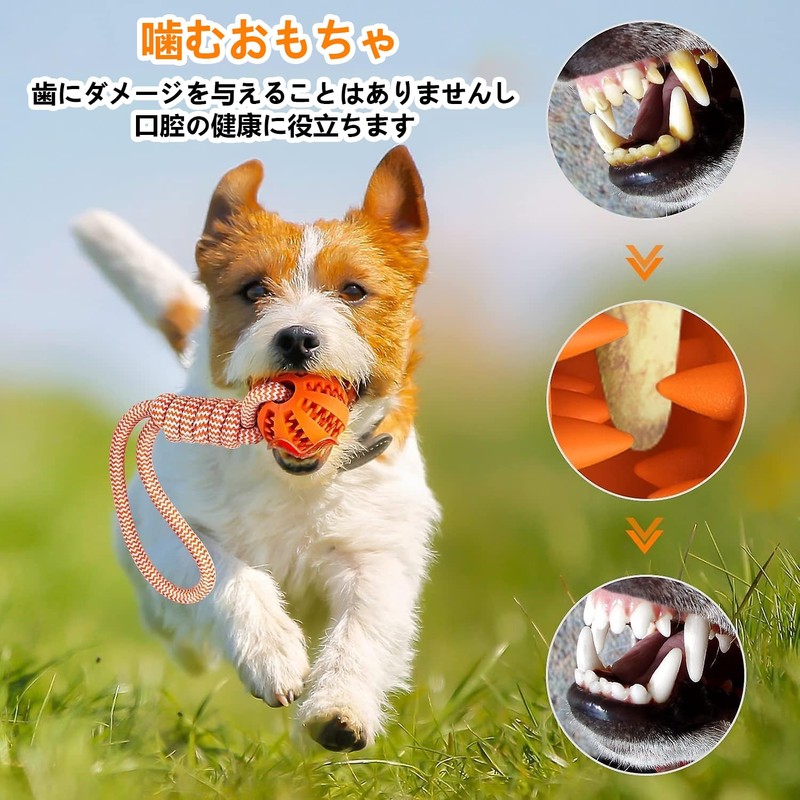 DICOCO 3 Pack Dog Toy, Popular, Chewing, Snack Ball, Dog
