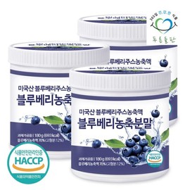 PureunDeulpan 블루베리 농축 분말 가루 파우더 180gx3통 Blueberry Concentrate Powder 180g x 3 Cans