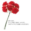 Flower Wire Pick Paper Material karahuruhururi-ru mo-bu (Pack of 36)
