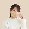 青山通商 グディナ 快適マスク立体 ベージュ30枚入