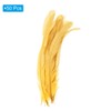 PATIKIL 10-12 Inch Rooster Feathers, 50 Pack Bulk Natural Feathers