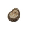 Hi-Line Gift Ltd Hedgehog on Back Statue